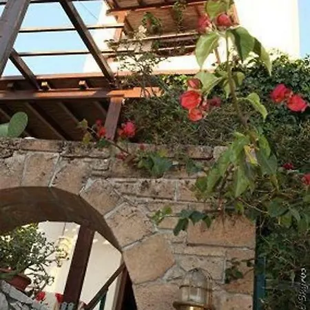Apartment Traditional