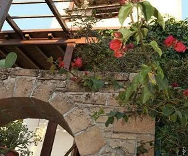 Apartment Traditional